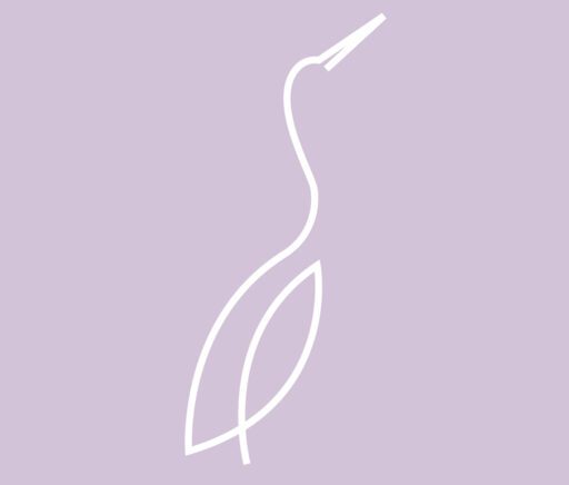 Елена Николовска